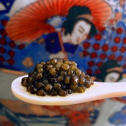 food porn caviale sul cucchioaio