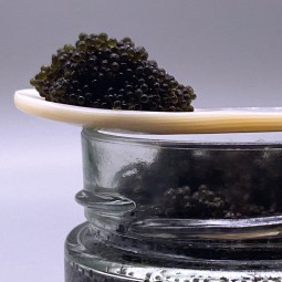 Tobiko Nero (6 x 90g)