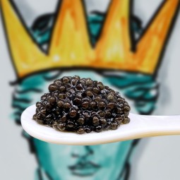 Caviale-siberiano-su-un-cucchiaio