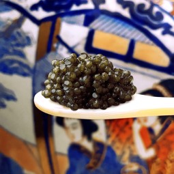 Caviale Amur Royal Select