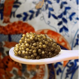 uova Osietra Imperial Oro