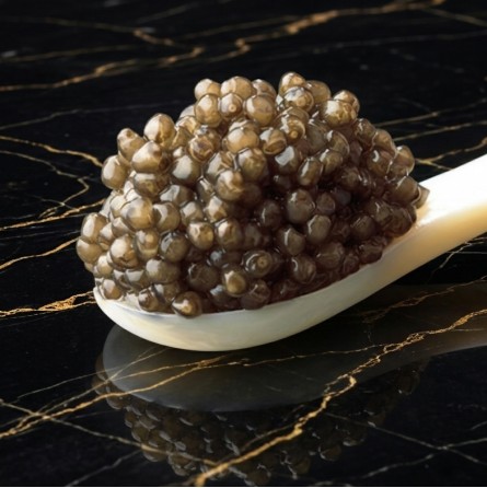 Caviale Beluga Royal (500g)