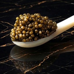 food porn caviale sul cucchioaio