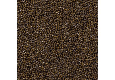 Cos'è il Caviale: Tipologie, Freschezza e Conservazione