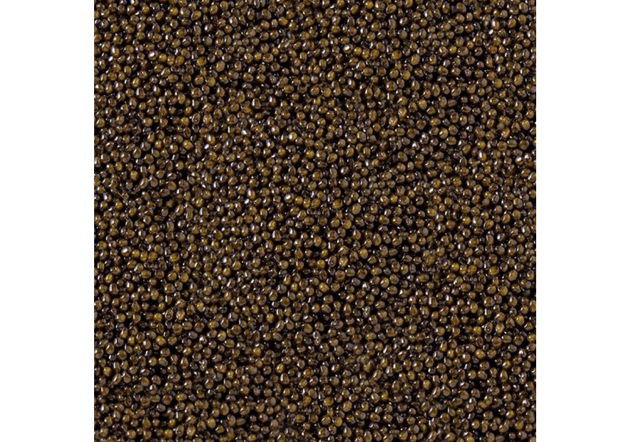 Cos'è il Caviale: Tipologie, Freschezza e Conservazione